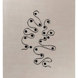 amini | curved lines bruno munari
